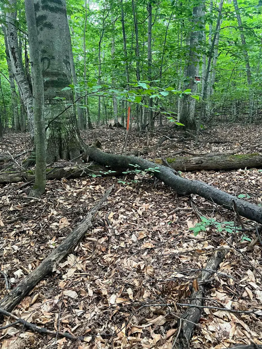 1575 N Setterbo RD, Suttons Bay Township, MI 49682 - Image #3