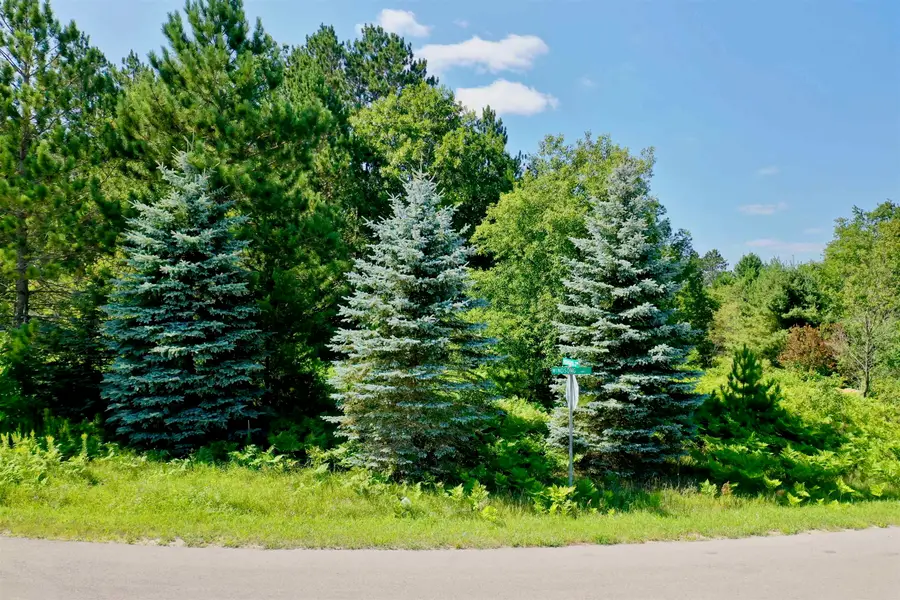 Lot 16 Windsong, Cadillac, MI 49601 - Image #3