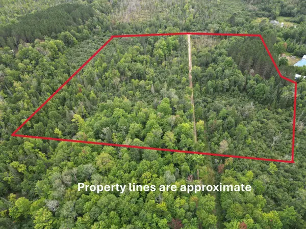 10.11 Acres Golden Road, SE, Kalkaska, MI 49646