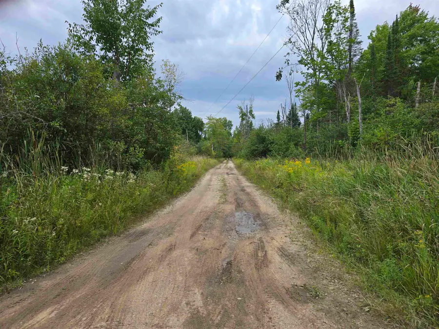 10.11 Acres Golden Road, Kalkaska, MI 49646 - Image #3