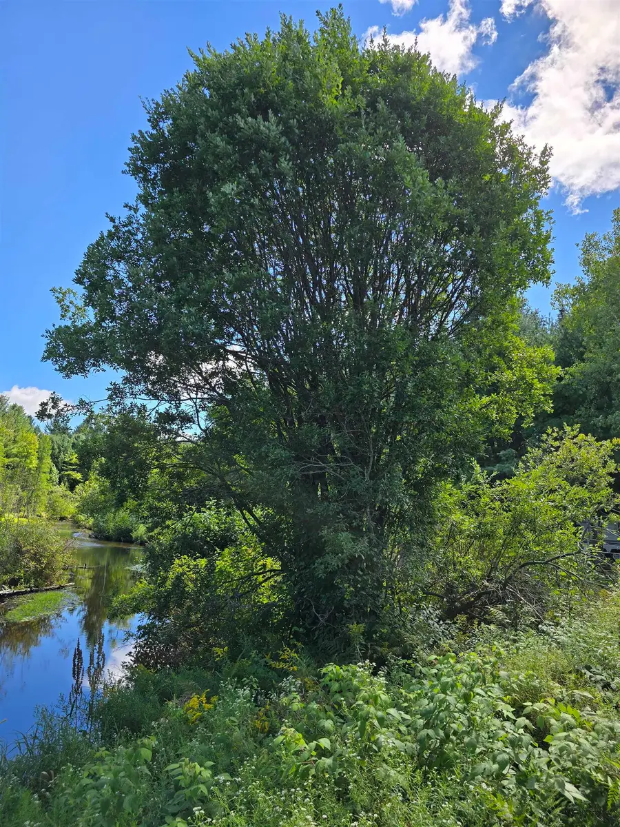 00 SW Terrace, Boardman, MI 49680 - Image #3