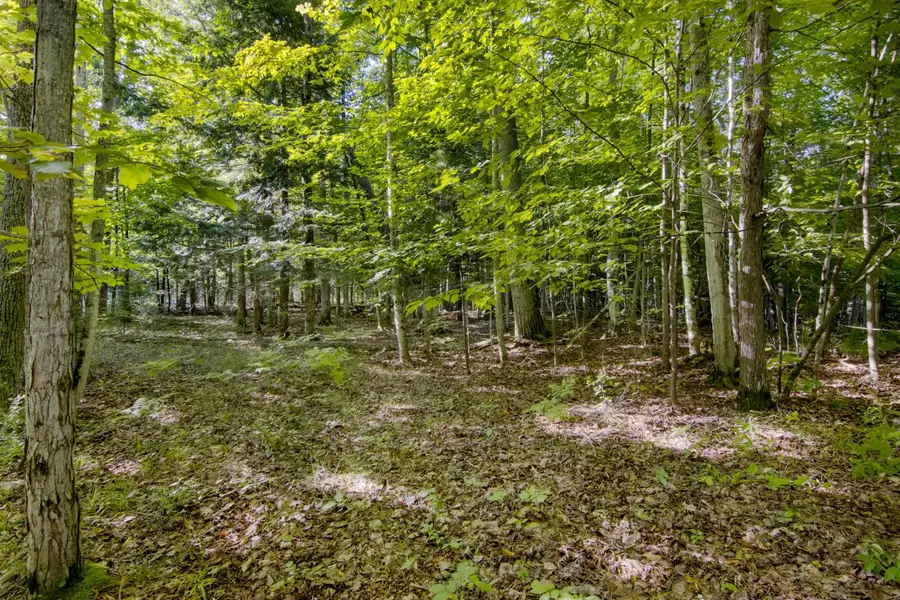 #2 Aspen TRL, Kewadin, MI 49648 - Image #3