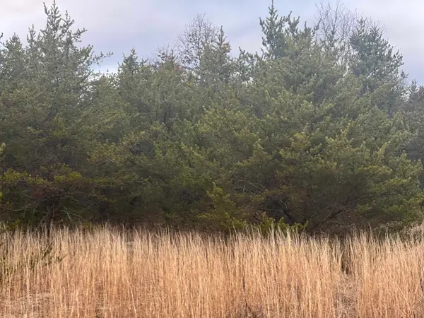 2214 E 56th ST, Chase, MI 49623