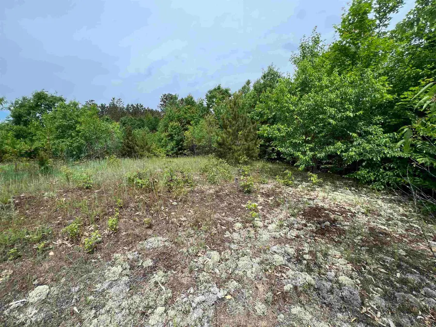 5 Acres Little, Kalkaska, MI 49646 - Image #3