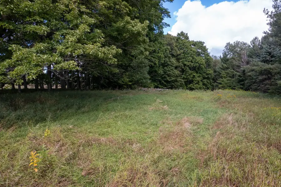 Lot #9 Kadi LN, Almira, MI 49650 - Image #3