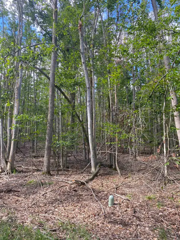 Lots 156 & 157 Hummingbird, Gaylord, MI 49735