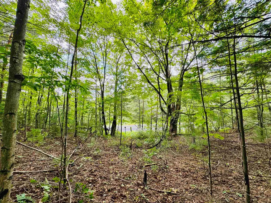 0 W Osborn RD, Empire, MI 49630 - Image #3