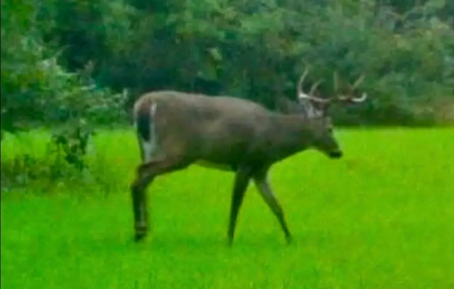 20 AC Big Four RD, Springdale, MI 49614 - Image #3