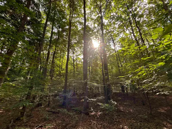 000 Langs, Interlochen, MI 49643