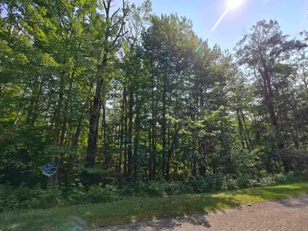 1617 Springdale, Elmira, MI 49730