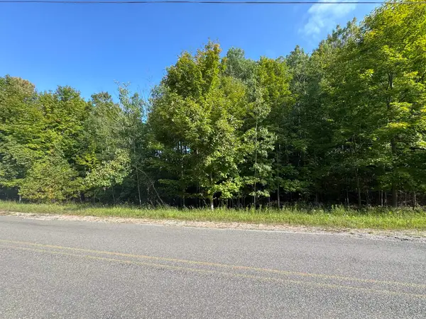 Lot 4 E Old Mountain, Cedar, MI 49621