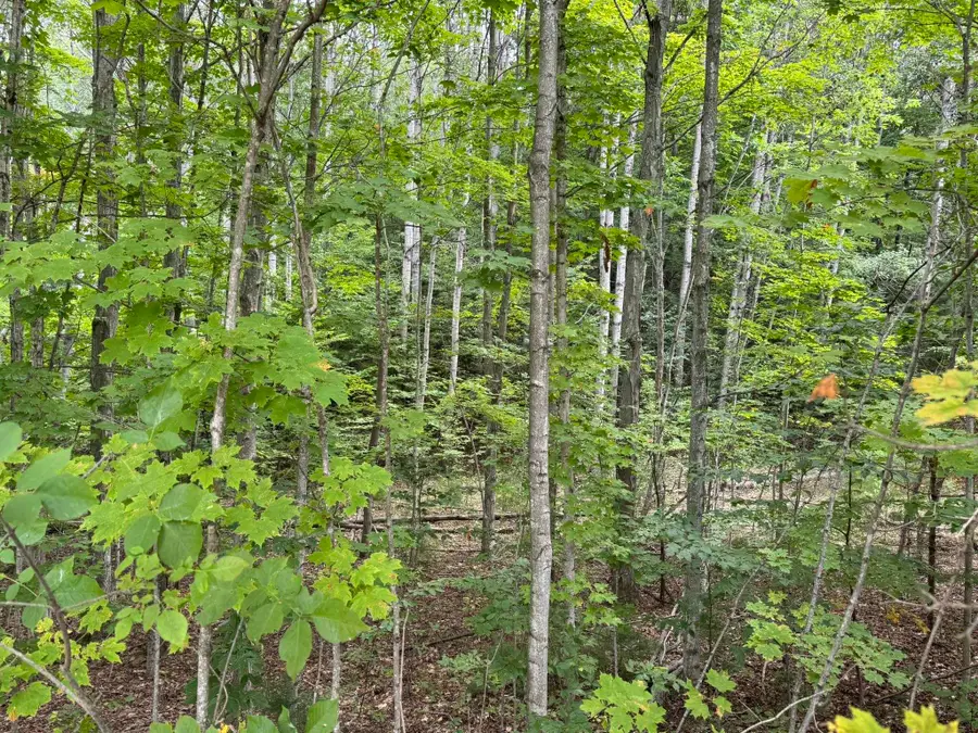 Lot 4 E Old Mountain, Cedar, MI 49621 - Image #2