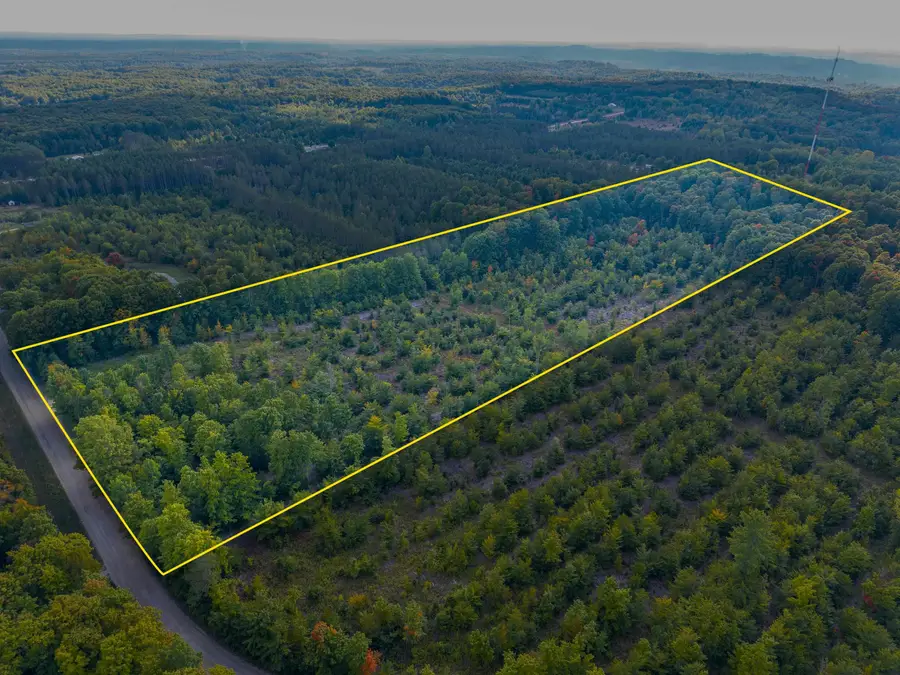 VL 12.5A NW Walker Road, Nw, Walker, MI 49676 - Image #2