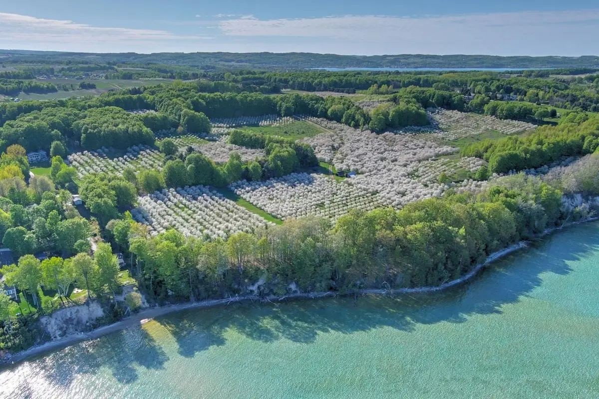 S Lee Point, Bingham, MI 49682 - Image #1