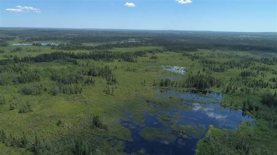 320 Acres Aho RD, Rudyard, MI 49780 - #3