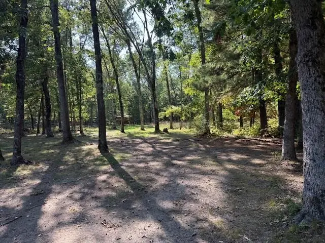 7861 N Bass Lake RD, Irons, MI 49644 - Image #3