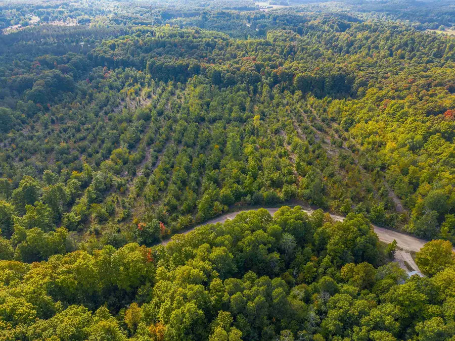 VL 18.75A NW Walker Road, Nw, Clearwater, MI 49676 - Image #3