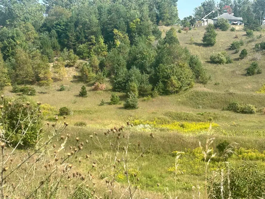 000 Solon RD, Solon, MI 49684 - Image #3