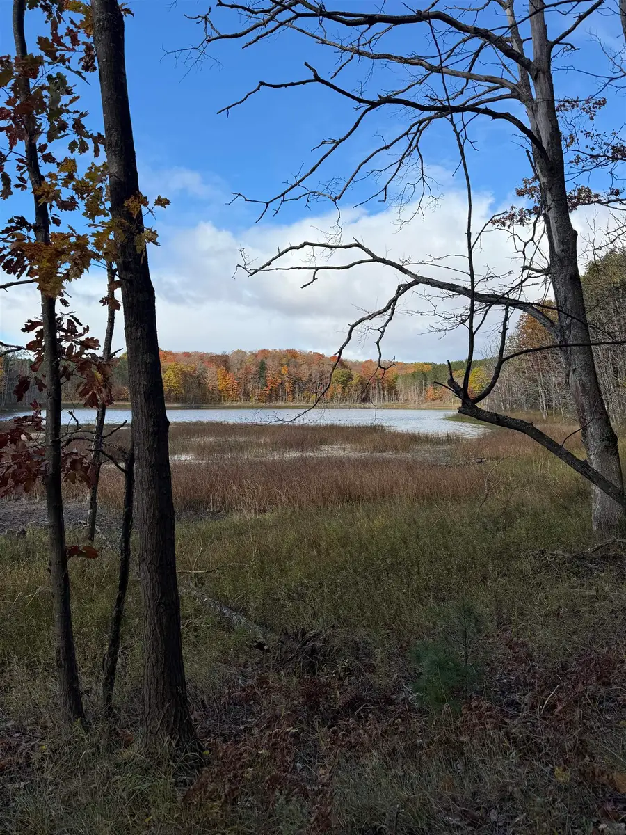 0 S Fritz, Empire, MI 49630 - Image #3