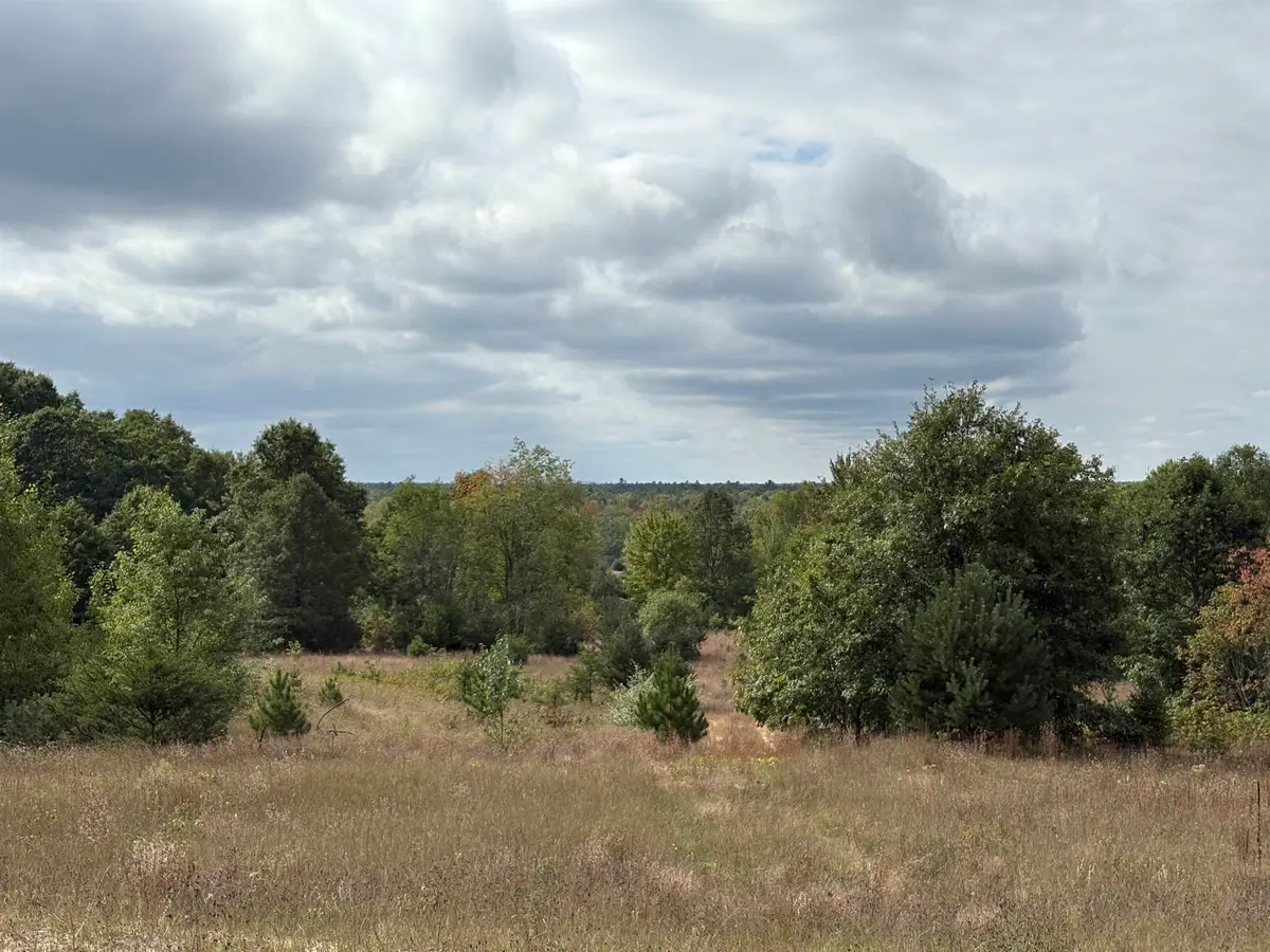 7267 S Snyder RD, Springfield, MI 49633 - #1
