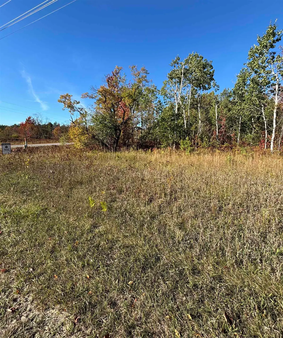Lot 1200 Thornton DR, Mancelona, MI 49659 - Image #1