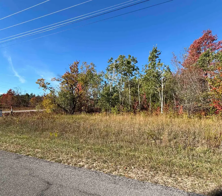 Lot 1200 Thornton DR, Mancelona, MI 49659 - Image #3