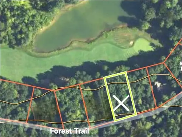 14 Forest, Bellaire, MI 49615