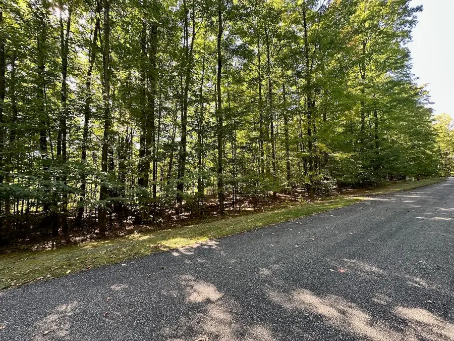 Units 149 & 150 Olympia FLDS, Bellaire, MI 49615 - Image #3