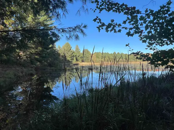 7556 210th, ReedCity, MI 49677