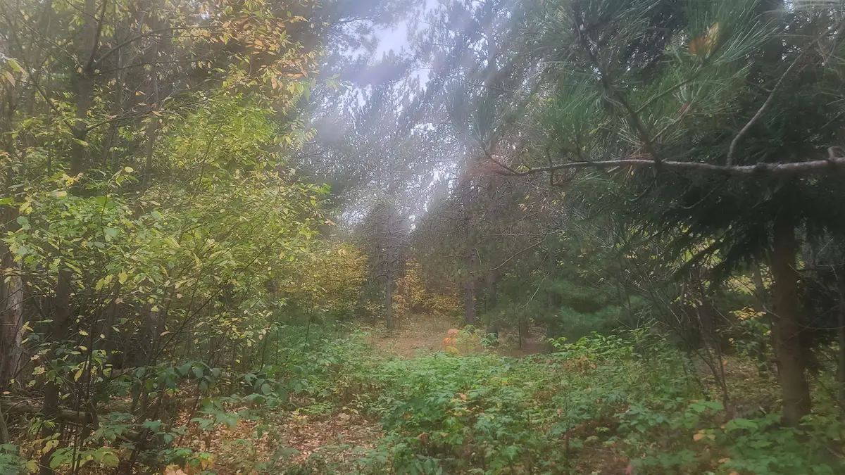 0000 Cedar River RD, Mancelona, MI 49659 - Image #1