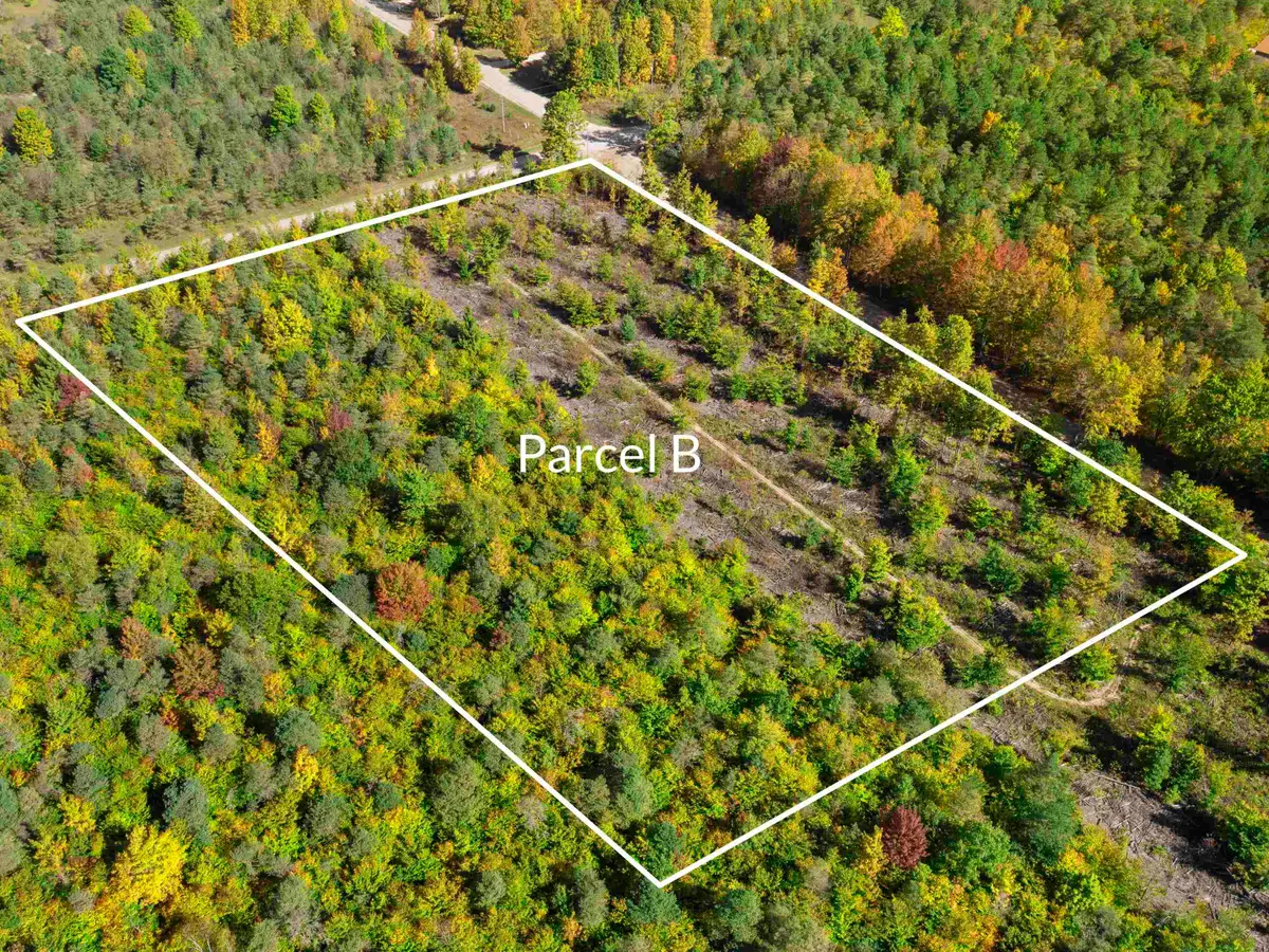 Parcel B Homestead, Beulah, MI 49617 - Image #1