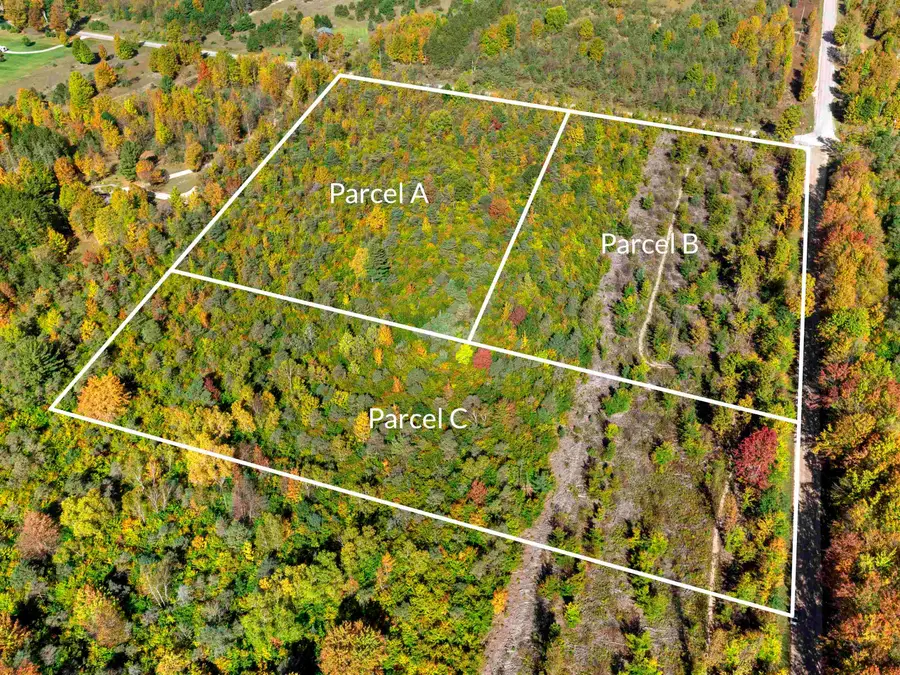 Parcel B Homestead, Beulah, MI 49617 - Image #3