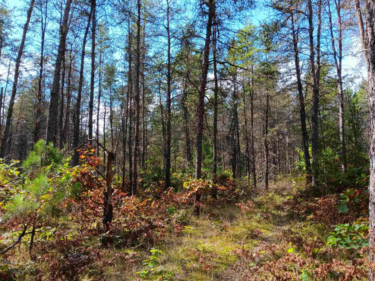 1433 S Peacock, Baldwin, MI 49304 - Image #1