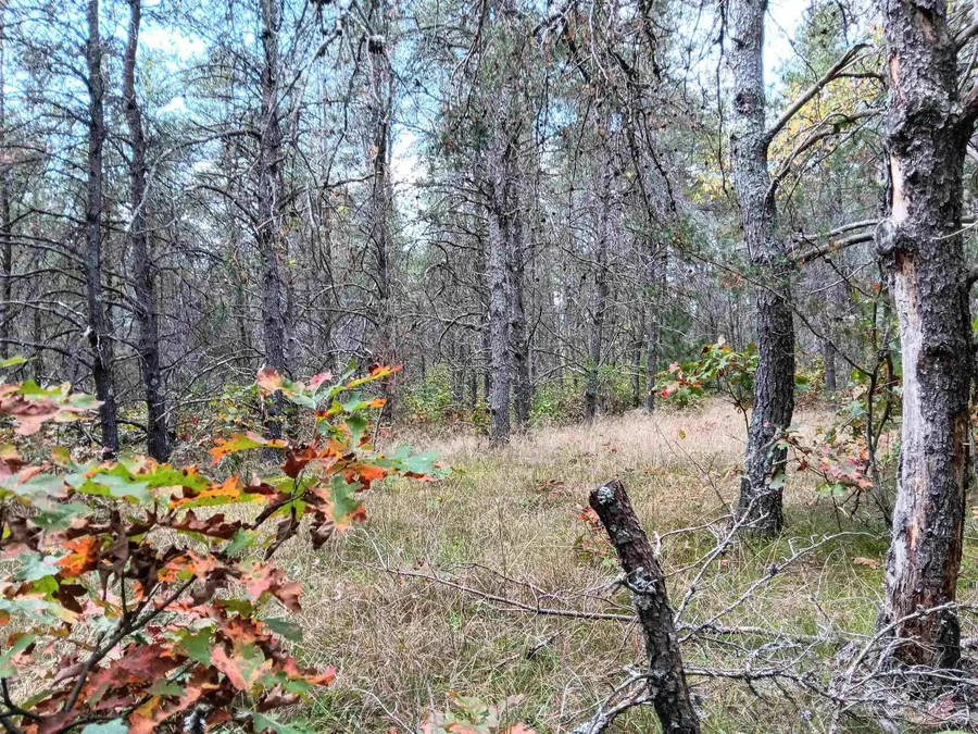 1433 S Peacock, Baldwin, MI 49304 - Image #2