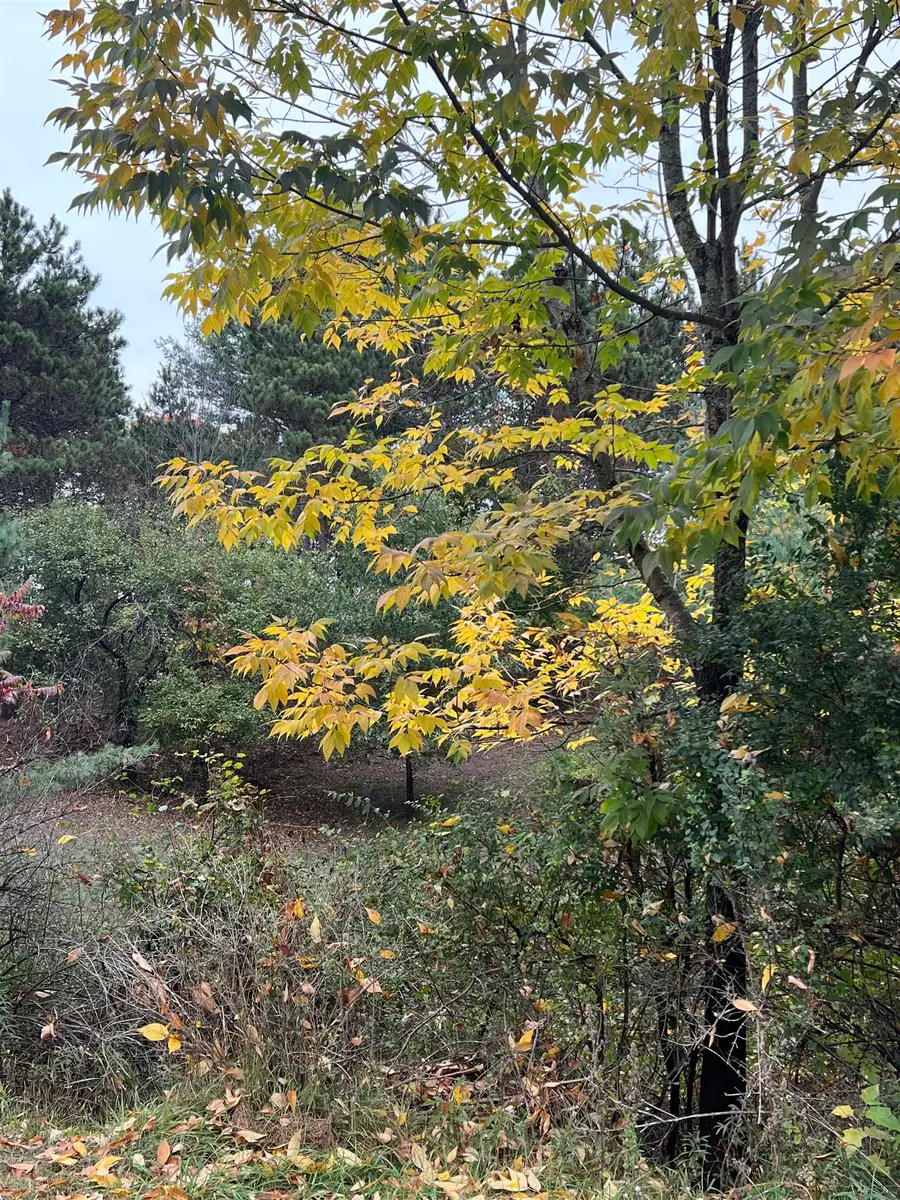 Lot 170 Jonathon, Milton, MI 49676 - Image #3