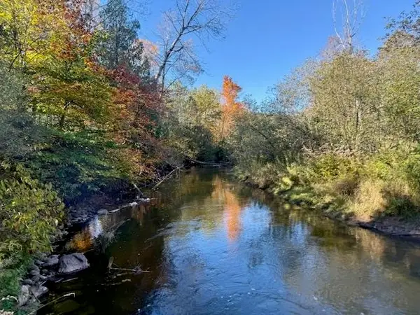 Parcels A & E Wild River, Thompsonville, MI 49683