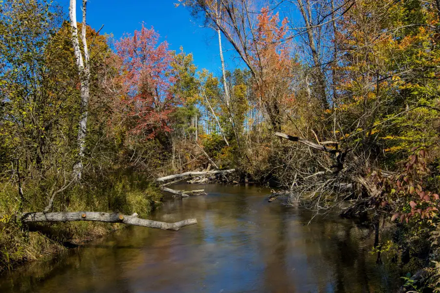 Parcels A & E Wild River WAY, Thompsonville, MI 49683 - #2