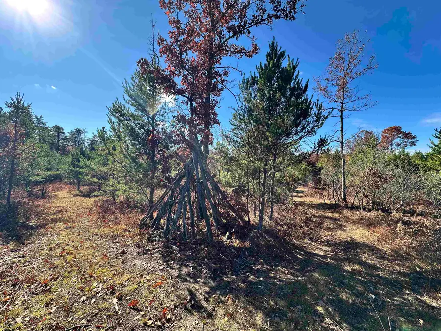 11664 Revord, Fife Lake Township, MI 49633 - Image #2