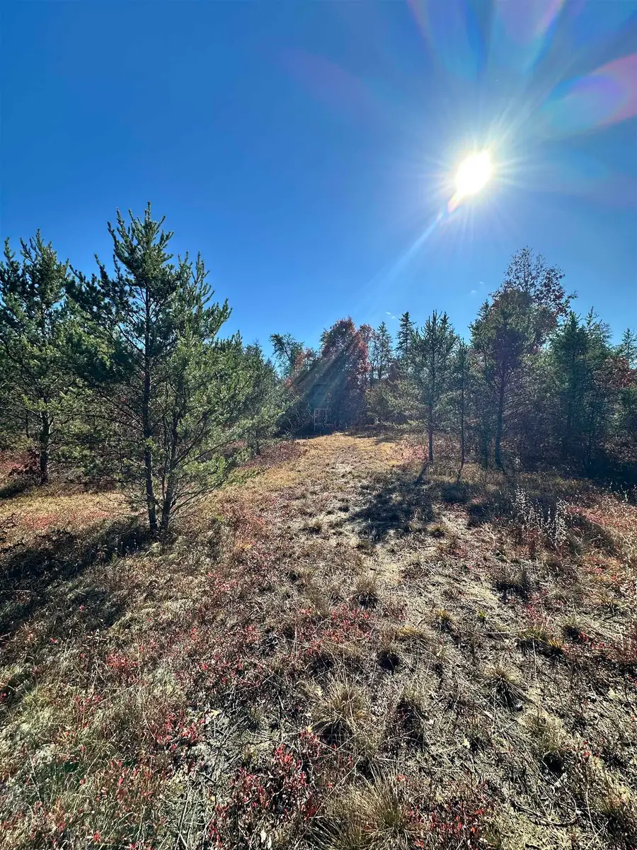 11664 Revord, Fife Lake Township, MI 49633 - Image #3