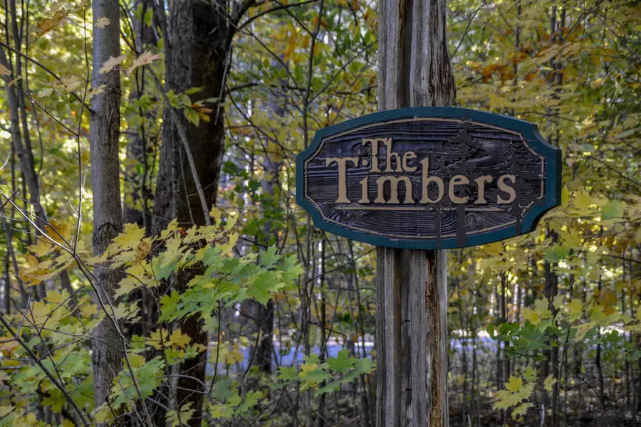 W Timber, Empire, MI 49630 - Image #2