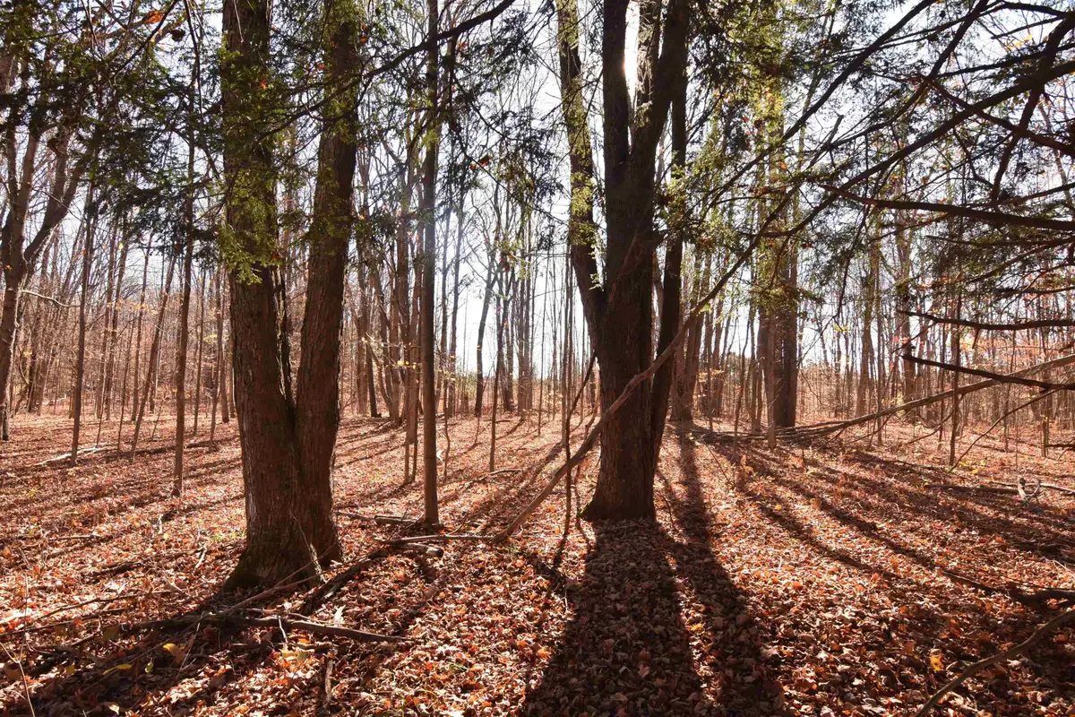 00 W M-115, Mesick, MI 49668 - Image #1