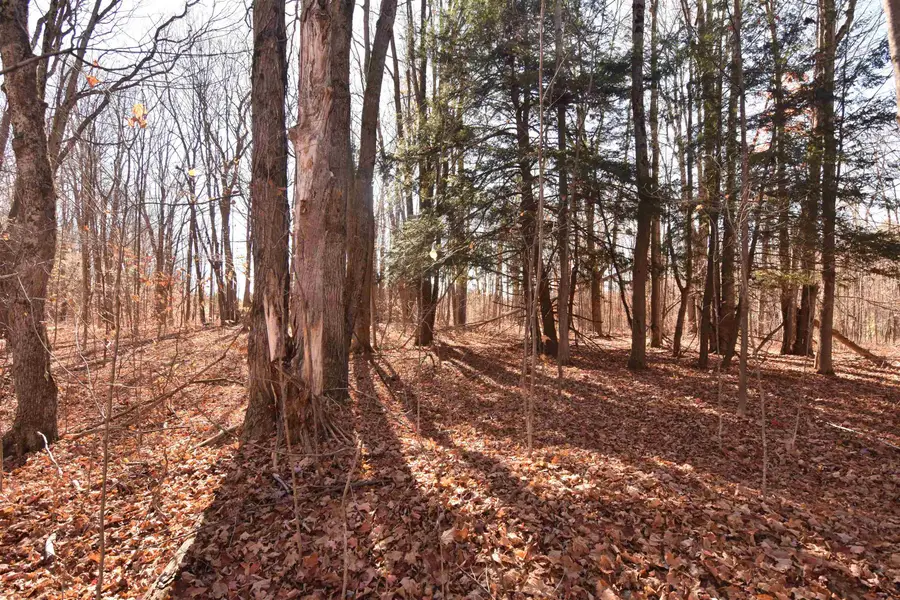 00 W M-115, Mesick, MI 49668 - Image #2