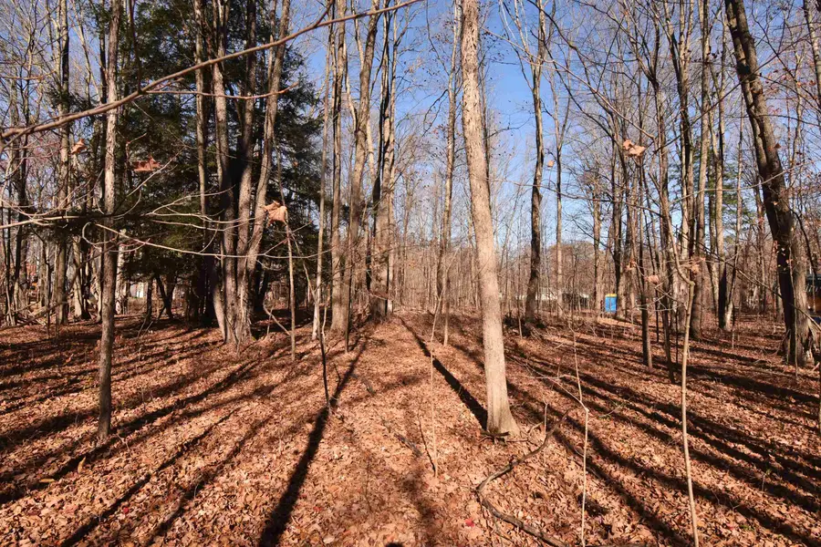 00 W M-115, Mesick, MI 49668 - Image #3