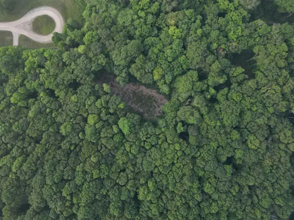 00000 S Bridle TRL, Empire, MI 49630