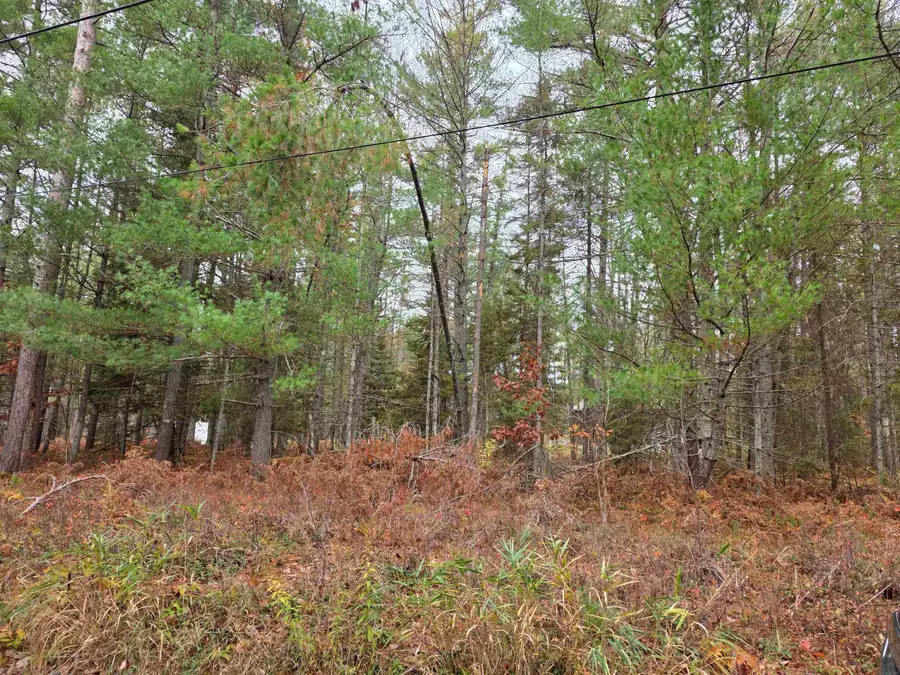 Battalion, Grayling, MI 49738 - #2