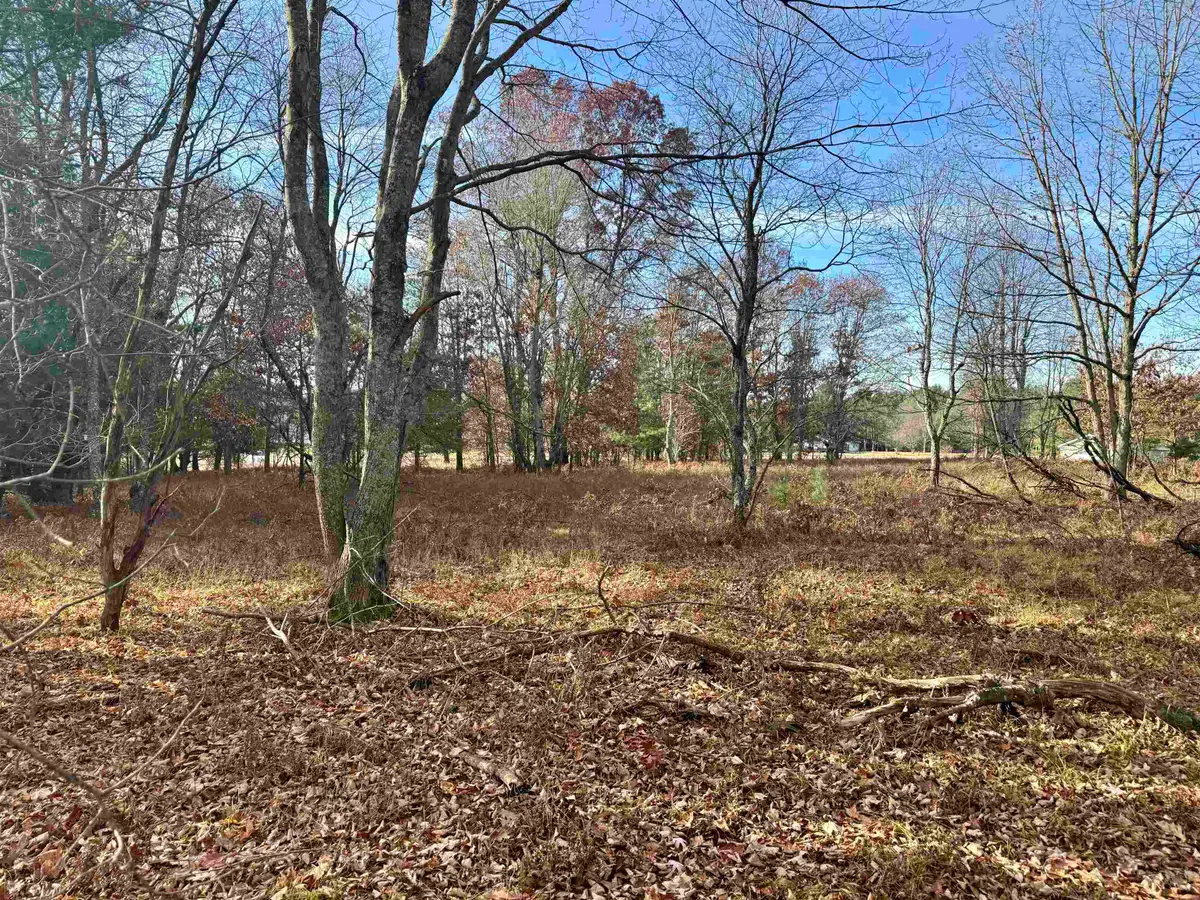 Parcel E Rosted, Lake City, MI 49651 - Image #1