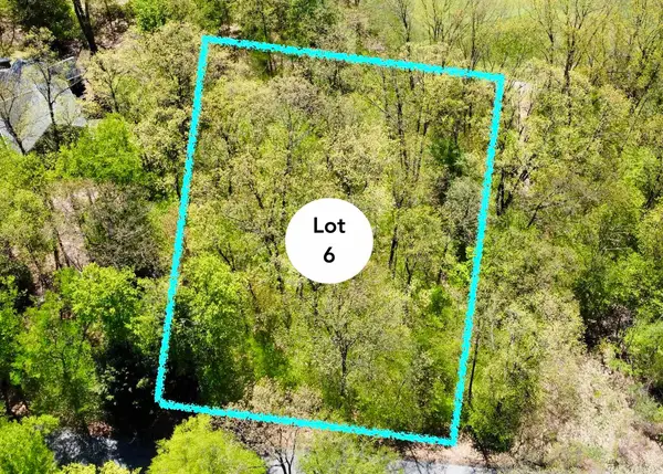 Lot 6 S Club, Cedar, MI 49621