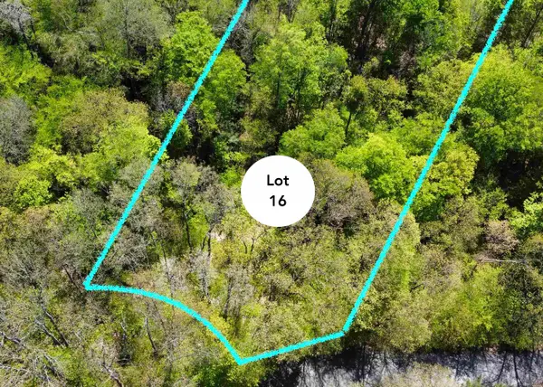 Lot 16 S Club, Cedar, MI 49621