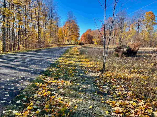 200 Raptor, Bellaire, MI 49615