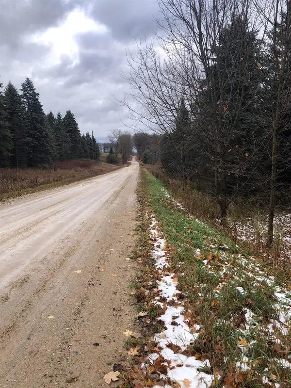 22 Mile, Tustin, MI 49688